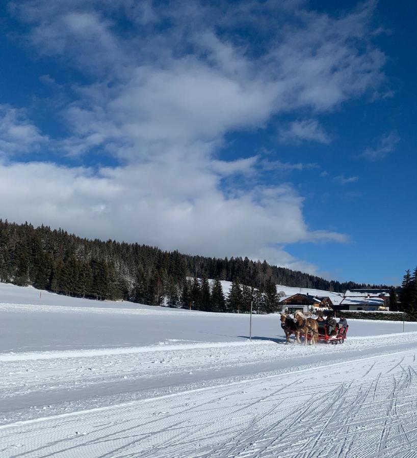 Haus Anna Lägenhet Ramsau am Dachstein Exteriör bild